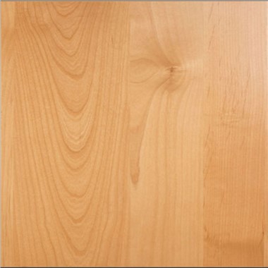 Bibien tal-Kċina Slab